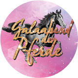 Galaabend Der Pferde - Leer 2018