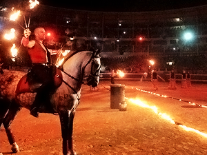 spectacle équestre de gilles fortier