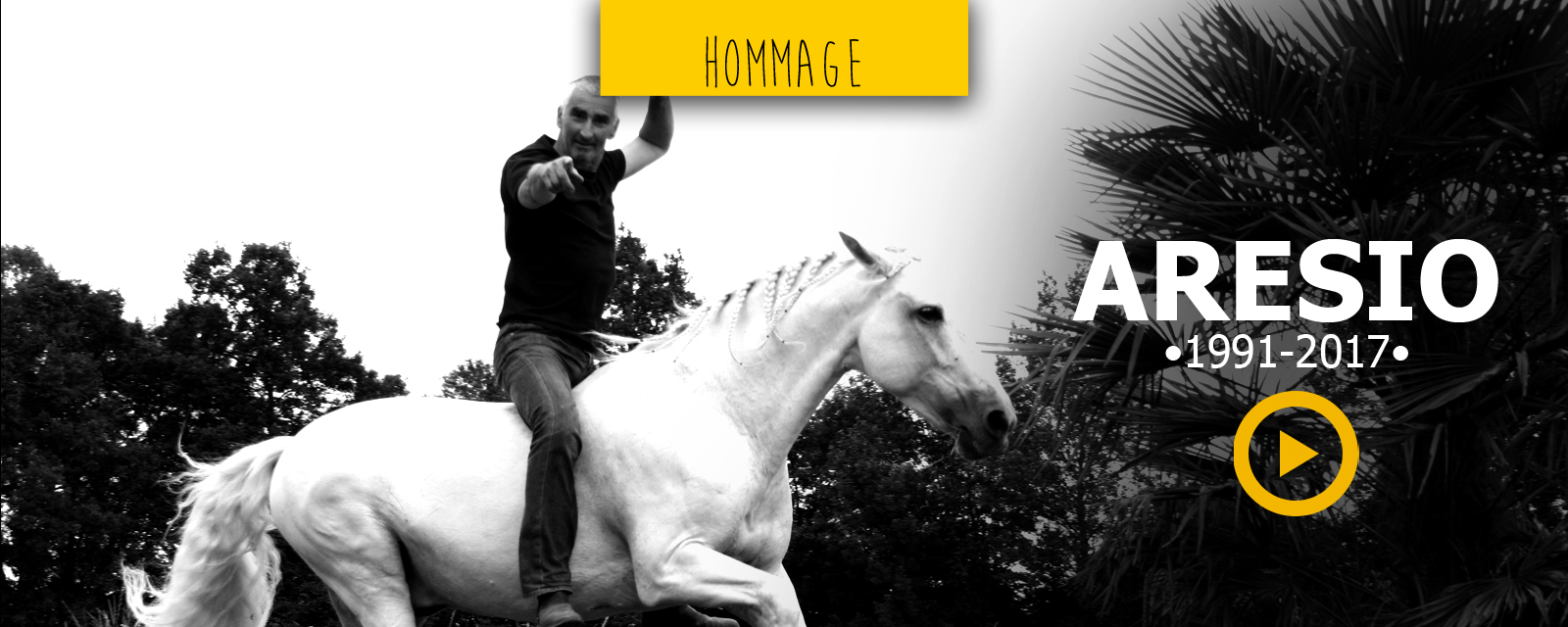 Hommage à Aresio. Le cheval d'une vie...