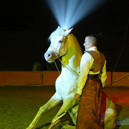 Sylvain Albella artiste de spectacle équestre