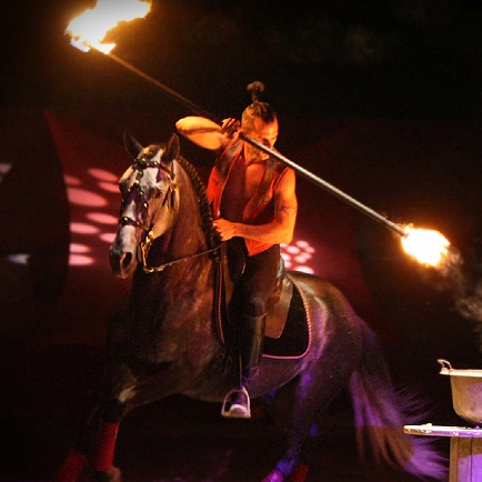 Sylvain Albella artiste de spectacle équestre