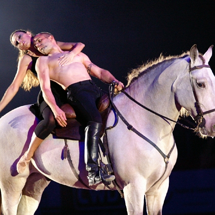 Sylvain Albella artiste de spectacle équestre