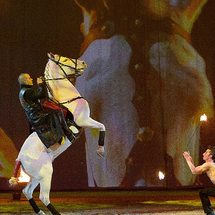 Sylvain Albella artiste de spectacle équestre