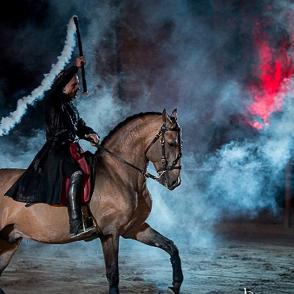 Sylvain Albella artiste de spectacle équestre