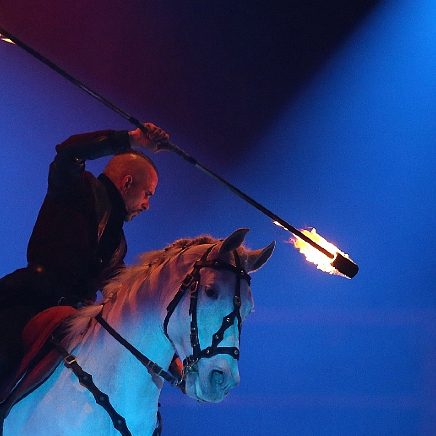 Sylvain Albella artiste de spectacle équestre