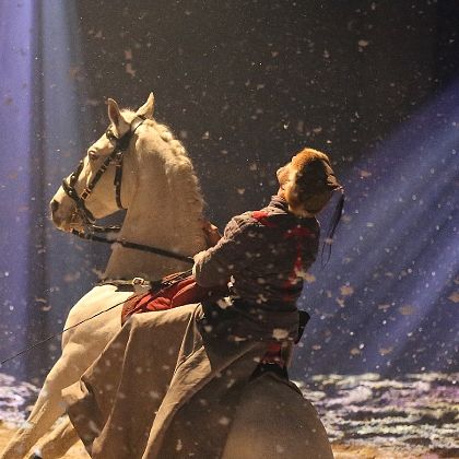 Sylvain Albella artiste de spectacle équestre