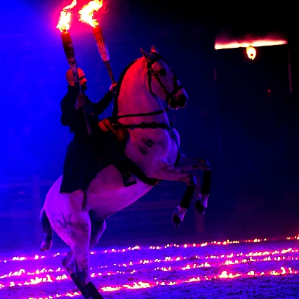 Sylvain Albella artiste de spectacle équestre