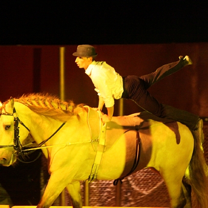 Thomas Fortier artiste de spectacle équestre