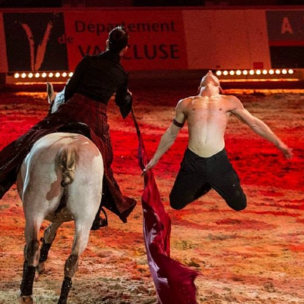 Thomas Fortier artiste de spectacle équestre