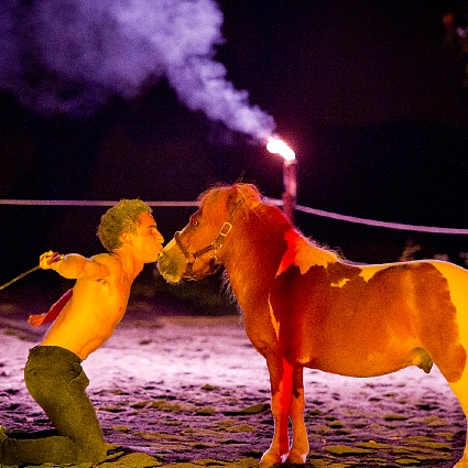 Thomas Fortier artiste de spectacle équestre