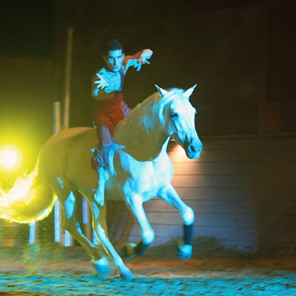 Thomas Fortier artiste de spectacle équestre