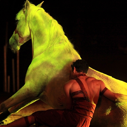 Thomas Fortier artiste de spectacle équestre