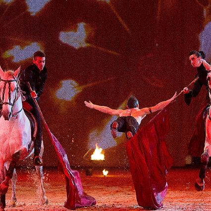 Thomas Fortier artiste de spectacle équestre