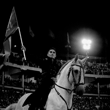 Thomas Fortier artiste de spectacle équestre