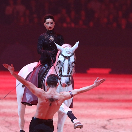 Thomas Fortier artiste de spectacle équestre