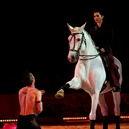 Virginie Fortier artiste de spectacle équestre