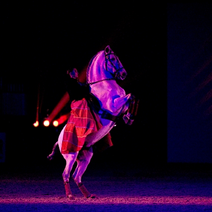 Virginie Fortier artiste de spectacle équestre