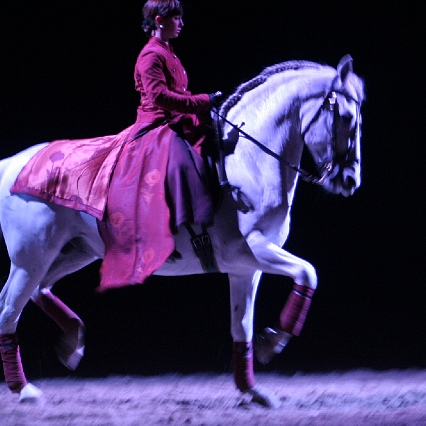 Virginie Fortier artiste de spectacle équestre