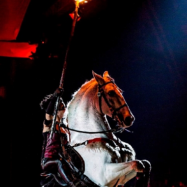 Virginie Fortier artiste de spectacle équestre