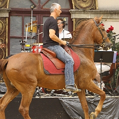 spectacle équestre de gilles fortier