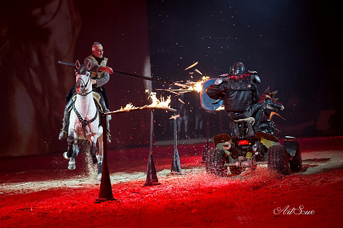 spectacle équestre horse show