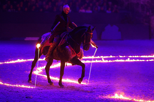 spectacle équestre horse show