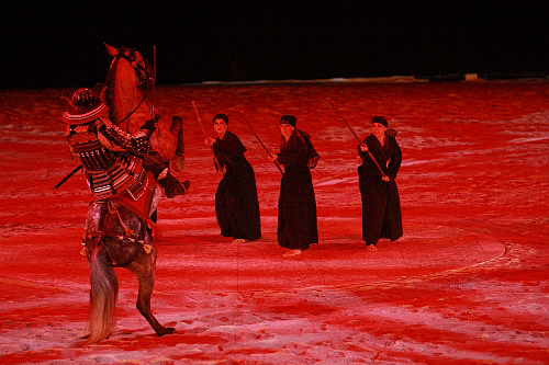 spectacle équestre horse show