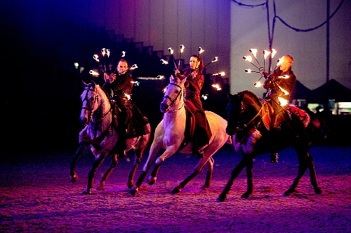 spectacle équestre horse show