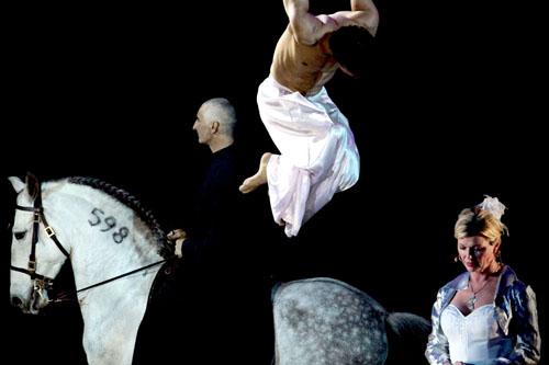 spectacle équestre horse show