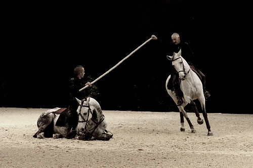 spectacle équestre horse show