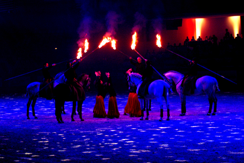 spectacle équestre horse show