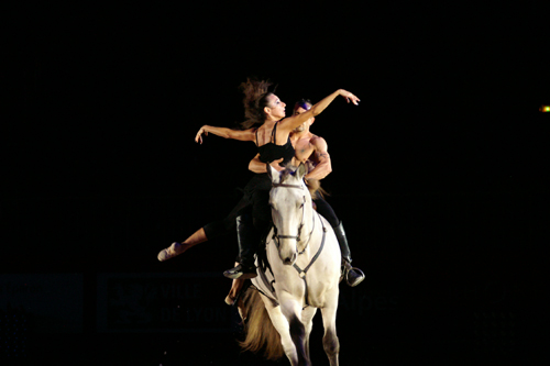 spectacle équestre horse show