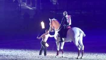 spectacle équestre horse show