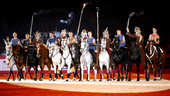 spectacle équestre horse show