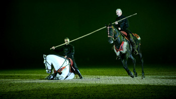 spectacle équestre horse show