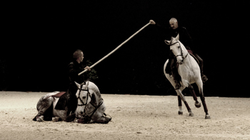 spectacle équestre horse show