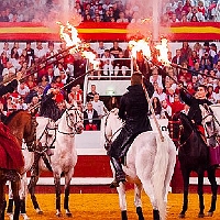 spectacle équestre de gilles fortier