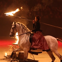 spectacle équestre de gilles fortier