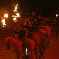 spectacle équestre de gilles fortier