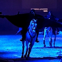 spectacle équestre de gilles fortier