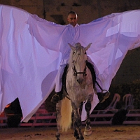 spectacle équestre de gilles fortier