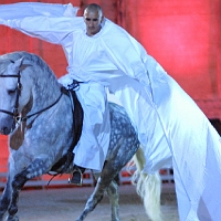 spectacle équestre de gilles fortier