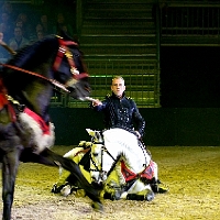 spectacle équestre de gilles fortier