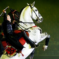 spectacle équestre de gilles fortier