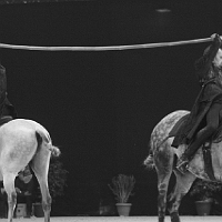 spectacle équestre de gilles fortier