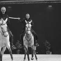 spectacle équestre de gilles fortier