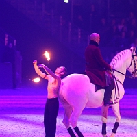 spectacle équestre de gilles fortier