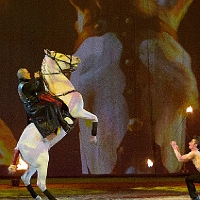 spectacle équestre de gilles fortier