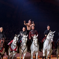 spectacle équestre de gilles fortier