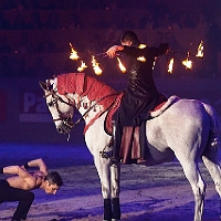 spectacle équestre de gilles fortier